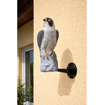 Harmony Trojrozměrná maketa dravce Sokol 45 cm kotvení do zdi
