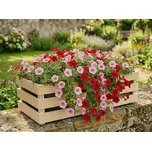 AMADEA Dřevěný obal na truhlík, 62x21,5x17cm Český výrobek 108034601