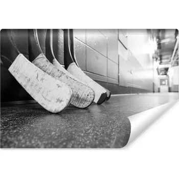 Fototapeta Fototapeta do posilovny Černobílá HOKEJ 450x300