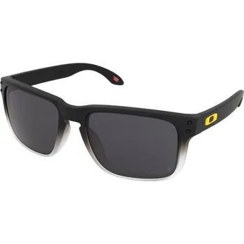 Sluneční brýle Sluneční brýle Oakley Holbrook OO9102 9102W1