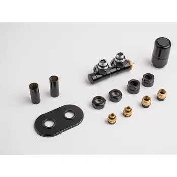 Radiátor P.m.h. Termostatický ventil pro ústřední vytápění Terra 6x7 cm černá TER-R-B