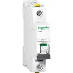 Schneider Electric iC60N A9F04116