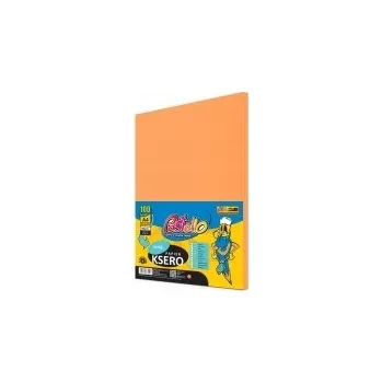 Kancelářský papír KANCELÁŘSKÝ PAPÍR BAREVNÝ LOSOSOVÝ A4 80G 100 LISTŮ