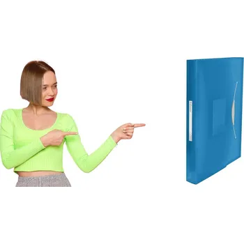 Pořadač / Organizér na dokumenty A4 s přihrádkami Esselte