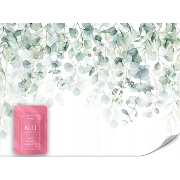 Fototapeta FOTOTAPETA DO LOŽNICE OBÝVACÍHO POKOJE AKVARELOVÉ LISTY EUKALYPTU ROSTLINY 250x175