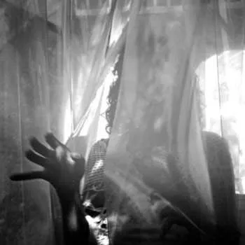 Zahraniční hudba CD Abe Vigoda: Crush 2010