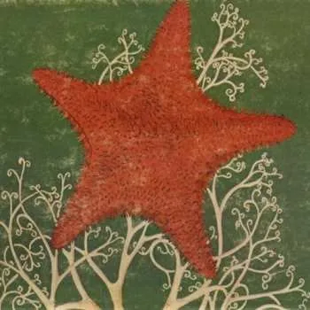 Zahraniční hudba CD The Blithe Sons: Arm Of The Starfish 2004