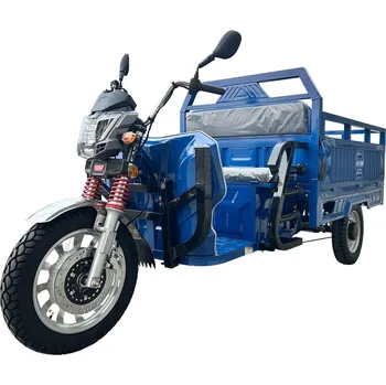 Elektromobilita Nákladní tříkolový vozík RACCEWAY® KUTIL, modrý Barva: Modrá