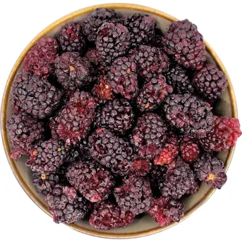 Sušené ovoce Zdravoslav Ostružiny lesní lyofilizované 50 g