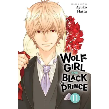 Komiks pro dospělé Wolf Girl and Black Prince, Vol. 11