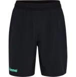 Šortky Hummel Blaze 2.0 Training Short 234512-2784 Velikost M