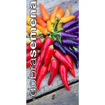 Semeno DOBRÁ SEMENA PAPRIKA BOLIVIAN RAINBOW - roční, chilli 10 s