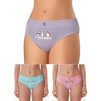 Dámské spodní prádlo Andrie PS 2947 L 3ks dámské kalhotky