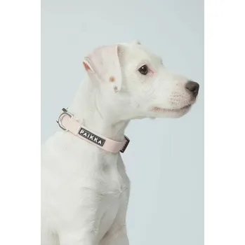 Fluorescenční obojek pro psa PAIKKA Glow Collar 19 x 2 x 0,5 cm 1032014 růžová 30X, vel. M