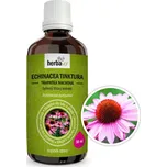 Herbavis Echinacea (Třapatka) – Bylinná tinktura, 50 ml