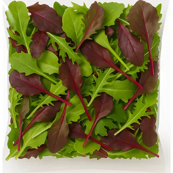 Metro Chef Salát orientální mix flowpack 125g