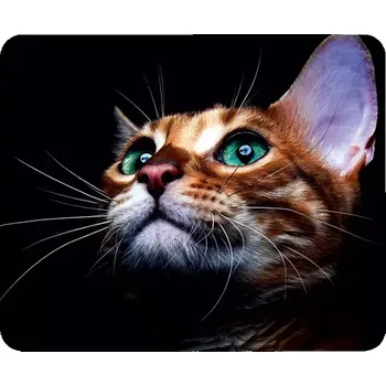 Utěrka Utěrka na brýle z mikrovlákna s motivem č.202