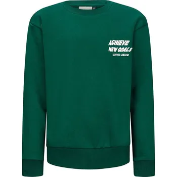 Chlapecká mikina Retour Grün 1385242 146