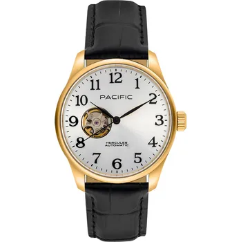 Hodinky Hodinky pánské Pacific Classic Automatic PC00915