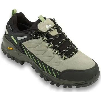 Pánská sportovní obuv Boty Ande Salbei 251317 36