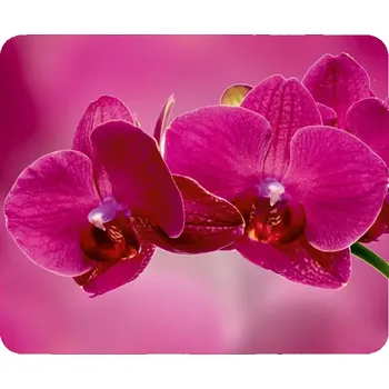 Utěrka Utěrka na brýle z mikrovlákna s motivem č.210