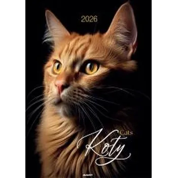 Kalendář Kalendarz 2026 ścienny Koty (pl, 2025, Brožovaná, Avanti)