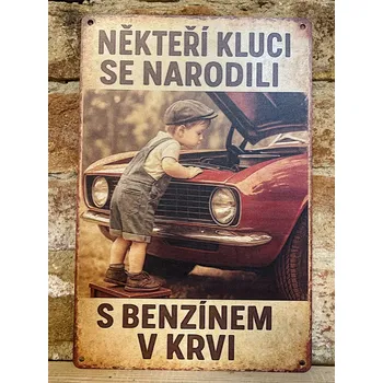 Plechová cedule Plechová cedulka - benzín v krvi