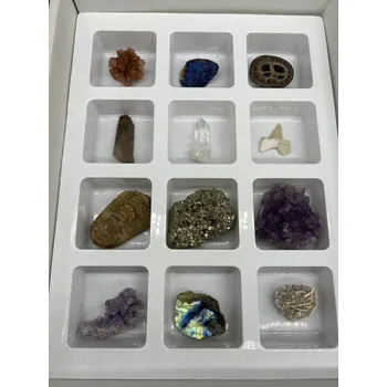 Sada minerálů a zkamenělin