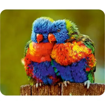 Utěrka Utěrka na brýle z mikrovlákna s motivem č.200