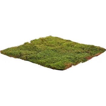 umělá květina Autronic Mech - umělá přízdoba, koberec 50 x 50 cm, zelená, sada 2 ks