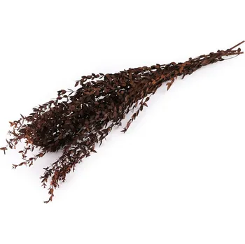 umělá květina Stabilizovaný olivovník svazek - hnědá