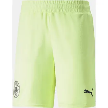 Pánské kraťasy Puma Green 1221466 M