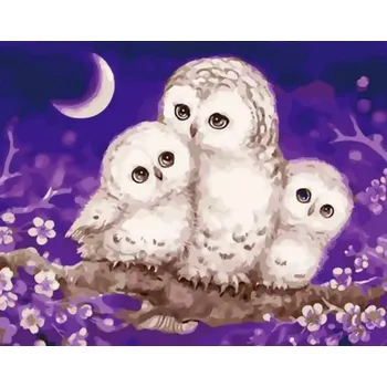 Dětské zboží Gaira® Malování podle čísel Sovičky M2853YZ