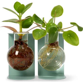 Váza 719220 - Tchibo - Stanice na odkládání a množení - barva: zelená