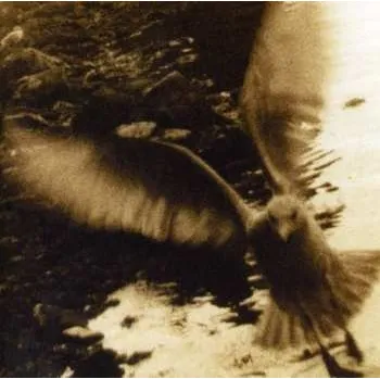 Zahraniční hudba CD Various: Take Me Home | A Tribute To John Denver 2000