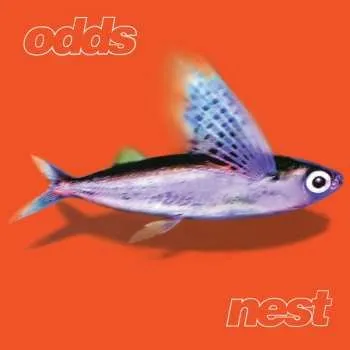 Zahraniční hudba LP Odds: Nest 2025