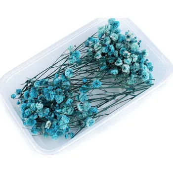 Svatební dekorace Sušený / stabilizovaný nevěstin závoj pro suché i mokré aranžování - modrá tyrkys krabička