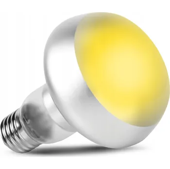 Osvětlení do terária VÝHŘEVNÁ ŽÁROVKA SPOT DO TERÁRIA PRO PLAZY A OBOJŽIVELNÍKY 25W