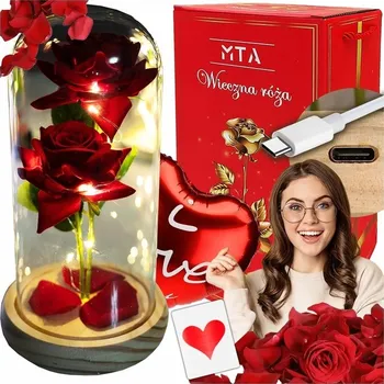 Obraz ELEGANTNÍ LED VĚČNÁ RÓŽA, DÁREK PRO ŽENU, MANŽELKU, VALENTÝN, VÝROČÍ
