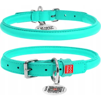 Obojek pro psa Kožený obojek pro psa s QR pasem, kulatý, mátový, velikost XS