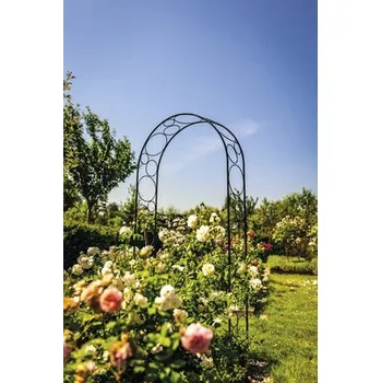 Opora na rostlinu Oblouk na růže kovový 124 x 244 cm černý