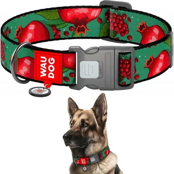 Obojek pro psa Nylonový obojek pro psa, vzor Granáty, velikost XXL, 46-70 cm, šířka 35 mm