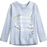 TRIKO HARRY POTTER em 304 šedé Velikost: 104