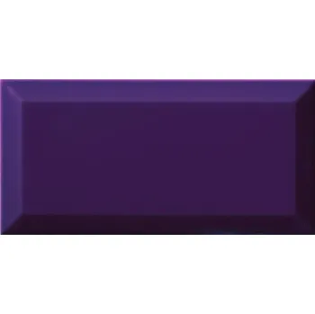 Obklad Obklad Ribesalbes Chic Colors plum bisel 10x20 cm lesk CHICC1869