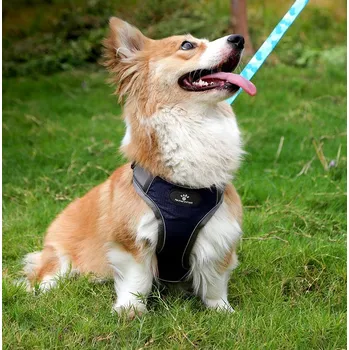 Postroj pro psa POSTROJE PRO PSA TRENINGOVÉ VYCHÁZKOVÉ ASTRO TMAVĚ MODRÉ BEZ TLAČENÍ POHODLNÉ