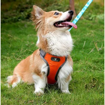 Postroj pro psa POSTROJE PRO PSA TRENINGOVÉ PROCHÁZKOVÉ ASTRO ORANŽOVÉ BEZTLAKOVÉ PEVNÉ