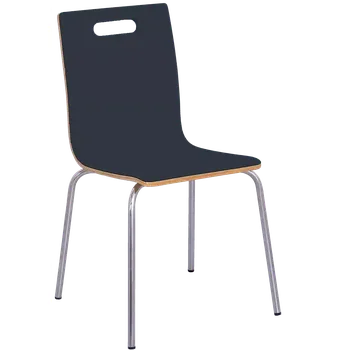 Jídelní židle MEGAN jídelní židle antracit, kostra nerez