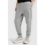 Pánské tepláky typu jogger 4F 4FRMM00TTROM1624-27M s
