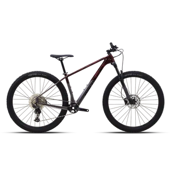 Horské kolo Kolo Polygon Syncline C3 brn/char 1x12 29" L - doprava zdarma