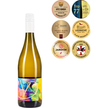 Víno Víno Drábek cuvée Špidláky Frizzante 2025 polosuché bílé 0,75 l